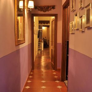 Black Sheep B&B